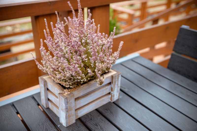 Aranżacje balkonu i tarasu na jesień - jak wykorzystać wrzosy do dekoracji