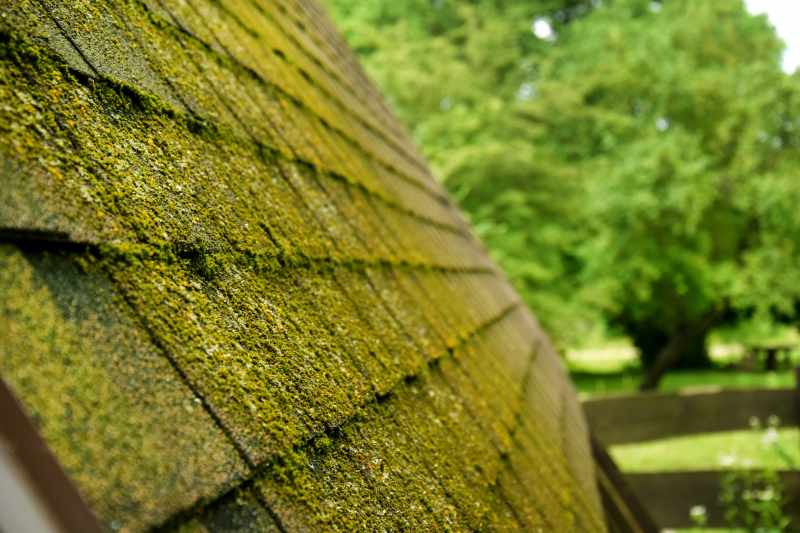 Jak radzić sobie z problemami wynikającymi ze zużytego pokrycia dachowego w zależności od jego typu
