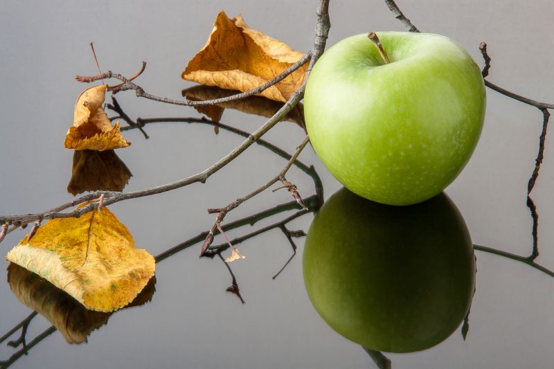 Ochrona jabłoni przed szkodnikami - metody i środki zwalczania zagrożeń